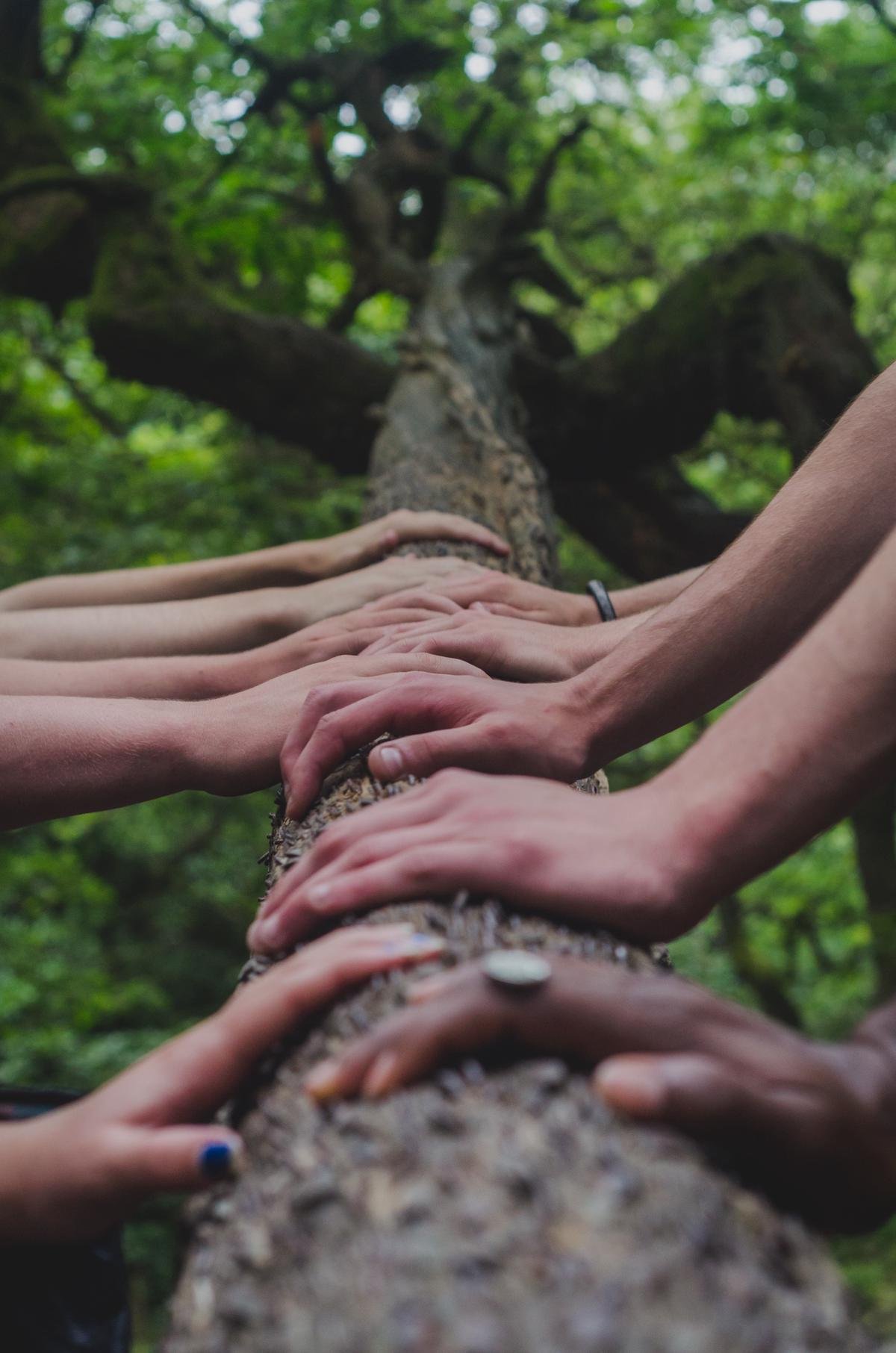 Image of a diverse group of individuals holding hands in a circle, representing a supportive community for parents of children with Autism Spectrum Disorder (ASD)