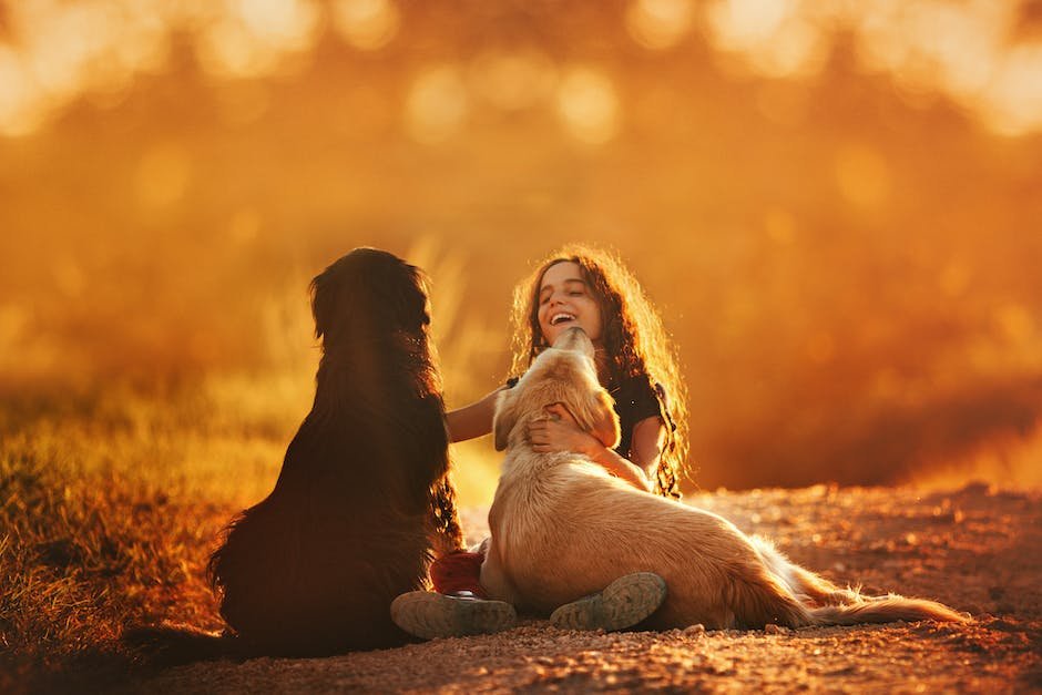 Image depicting a child with autism interacting with a therapy dog at a zoo.